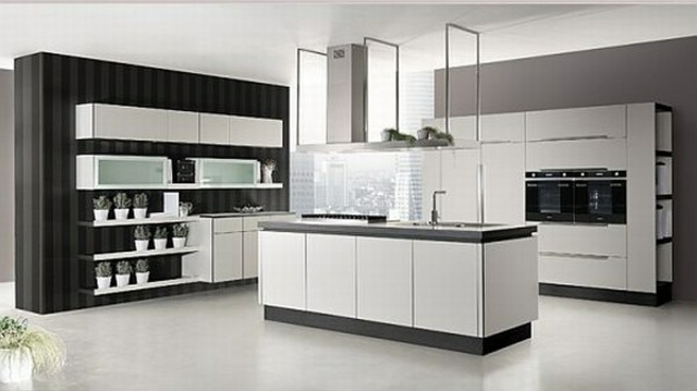 modern fitted kitchen model