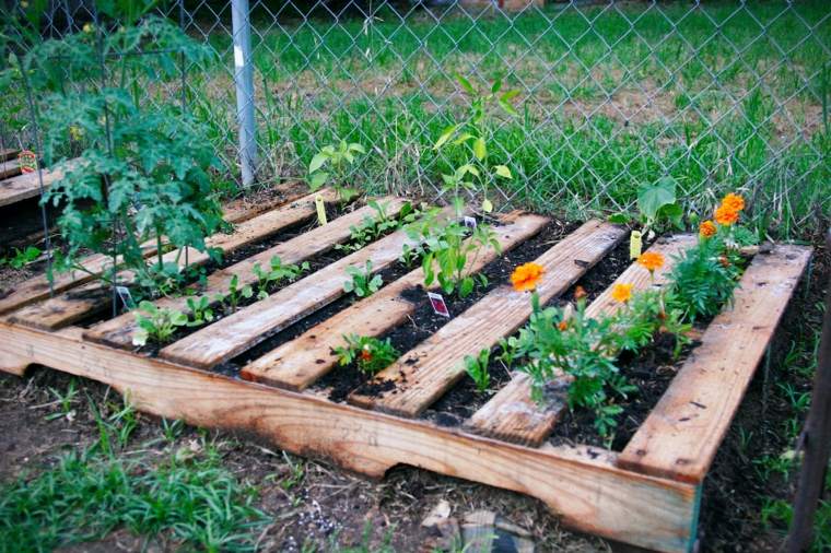 Contoh jardinières kayu palet bagaimana membangunkan kebun sayur murah