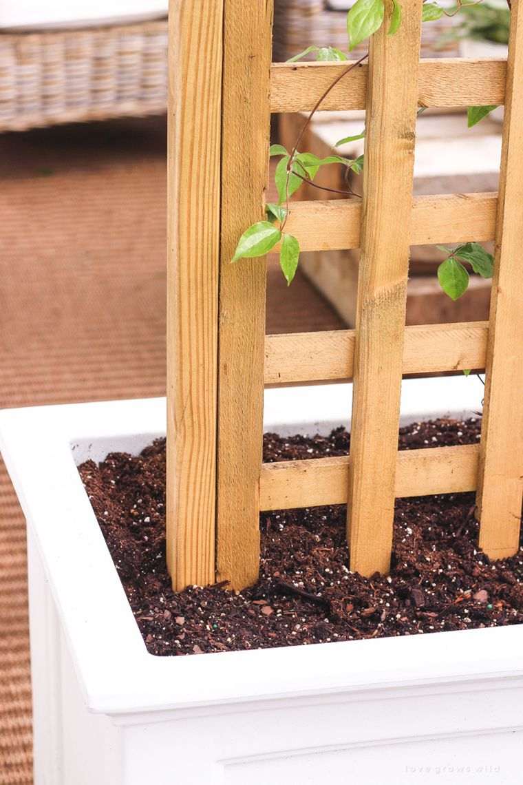 model-gardener-lattice-wood-plan-making