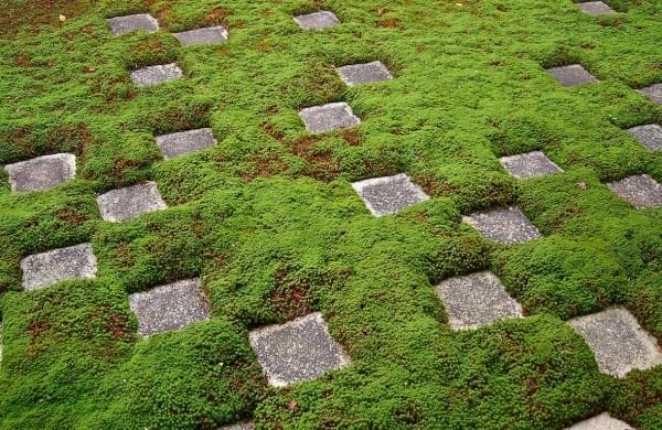 japanese garden foam tile patterns