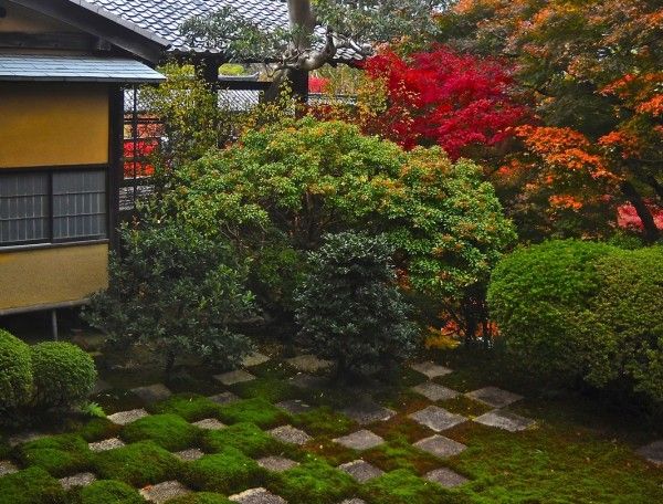 Japanese garden moss house trees