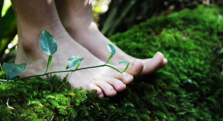 naturlig organisk teppe skum