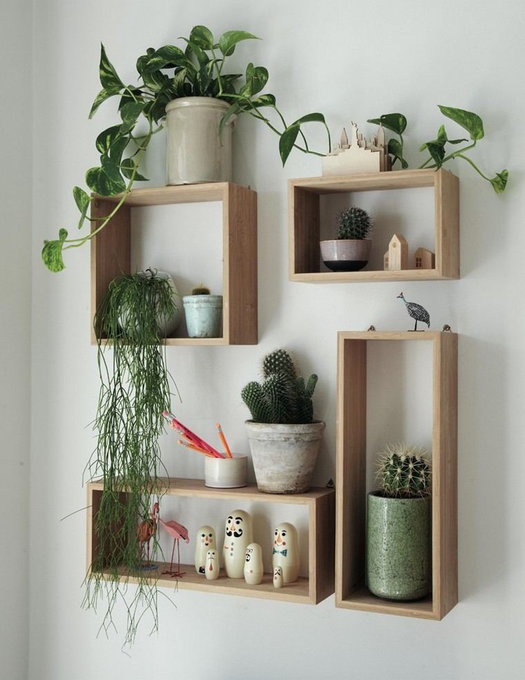 deco-plant-pot wall-idee-shelf-wood