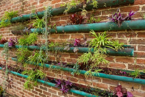 wall decorative plants