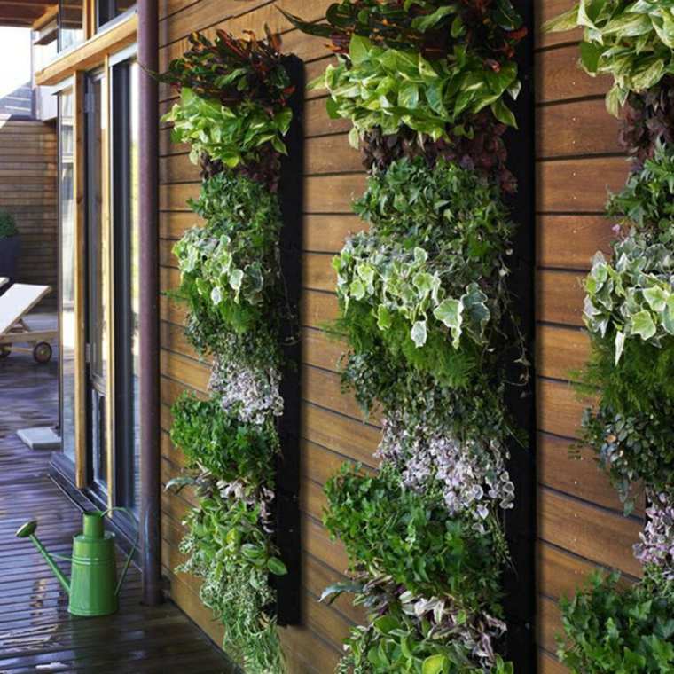 plant wall decoration plant idea