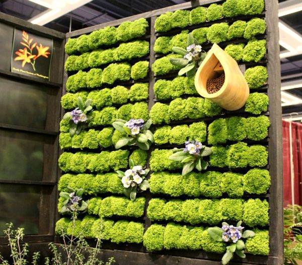 green wall frame wood original idea