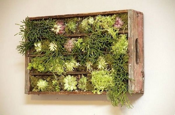 green wall wooden crate make