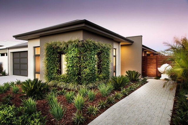 vegetal wall path edge contemporary house architecture