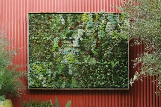 plant wall interesting design