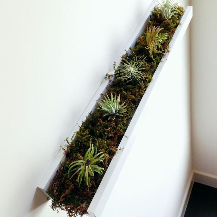 Wall-vegetal-outside-a-do-it-yourself garden-easy-plant-fat-deco-not-dear