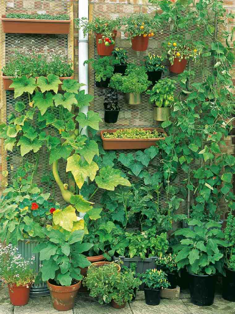 vertical garden outdoor idea flowerpot baque