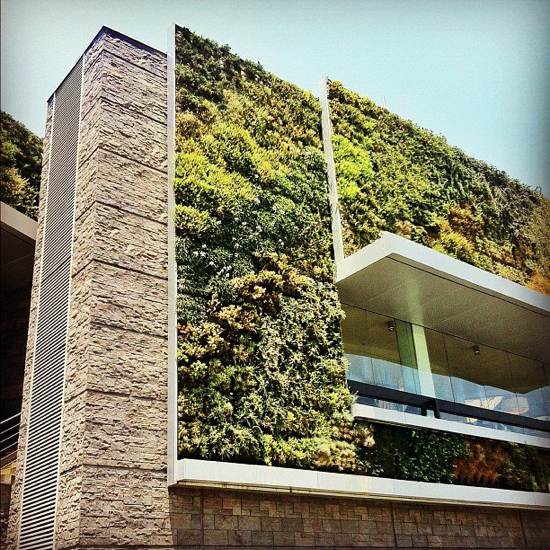 Wall-vegetal-house-modern