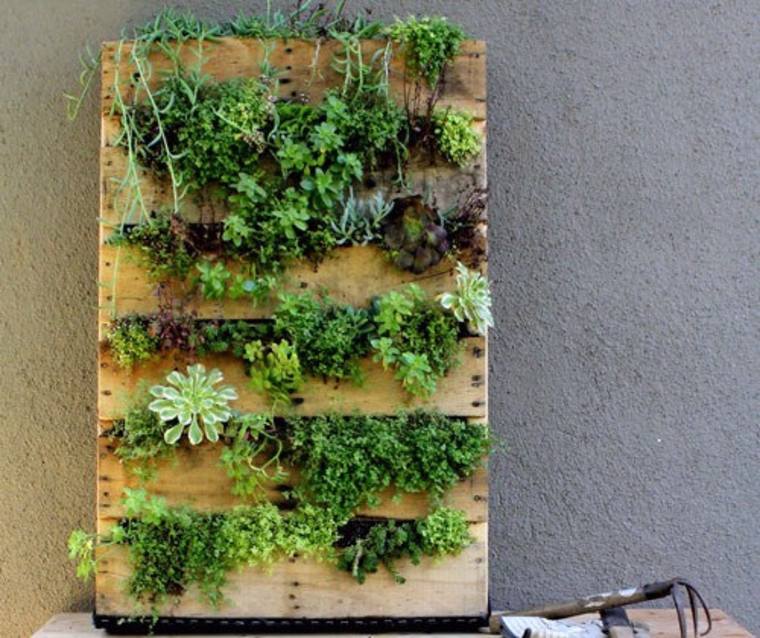 vertical gardens idea pallet wood succulents