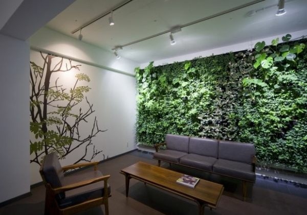 plant walls original idea