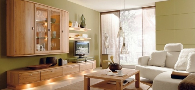 light green walls contemporary wood living room