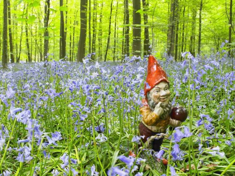 Taman gnome di dalam hutan