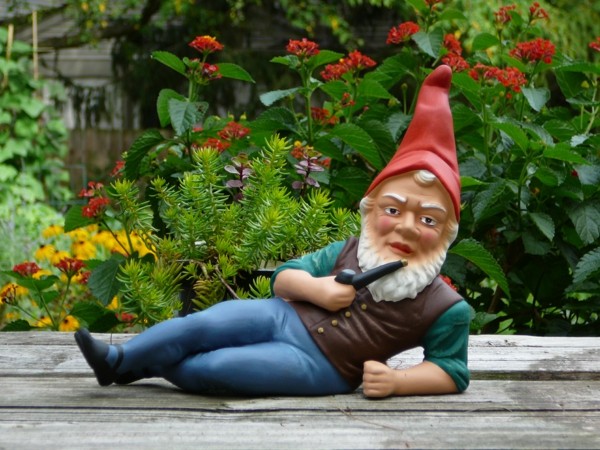 German gnome garden gnome red gnome