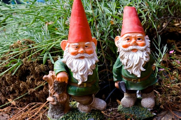 garden gnomes idea