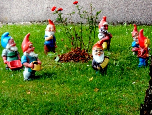 trädgård gnomes sju hus röd hatt rosa dvärg stil spela musik