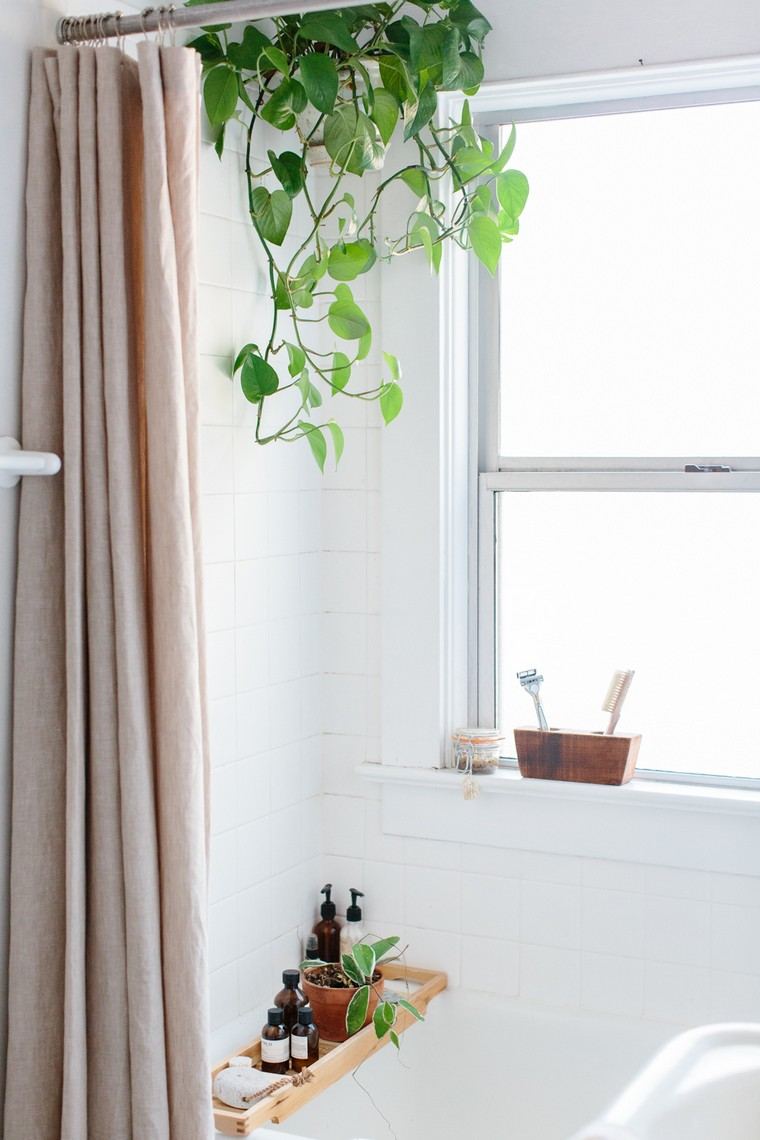 idea plant bathroom deco interior window bathroom idea