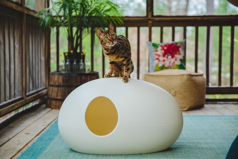 Niche untuk kucing: pilihan rumah kucing yang sangat reka bentuk 