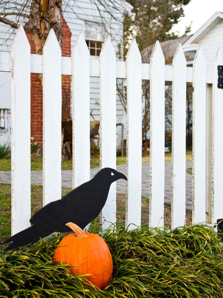 deco brico halloween idé enkel raven papper trädgård pumpa