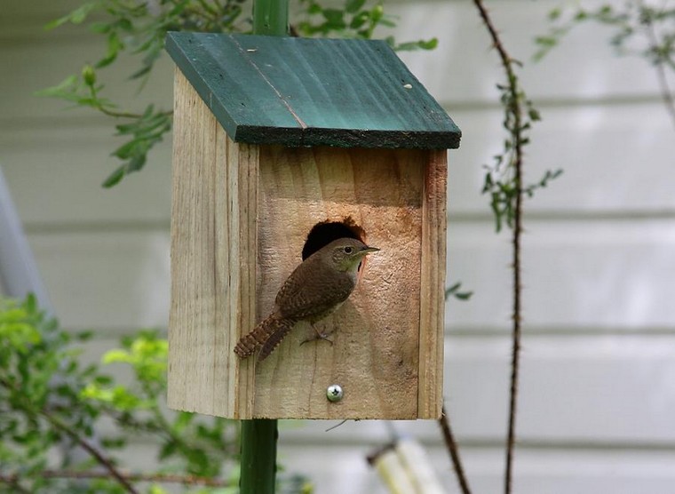 bird-house-wood-idee-manger