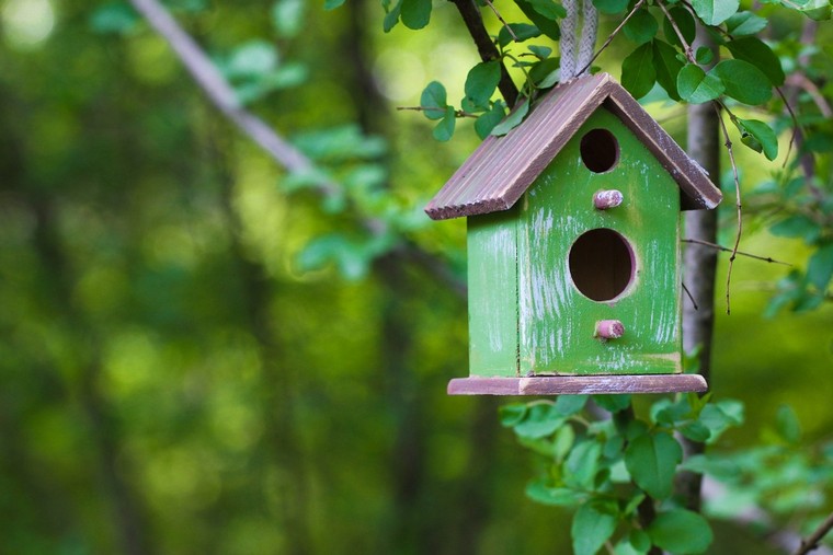 bird-house-make-it-yourself