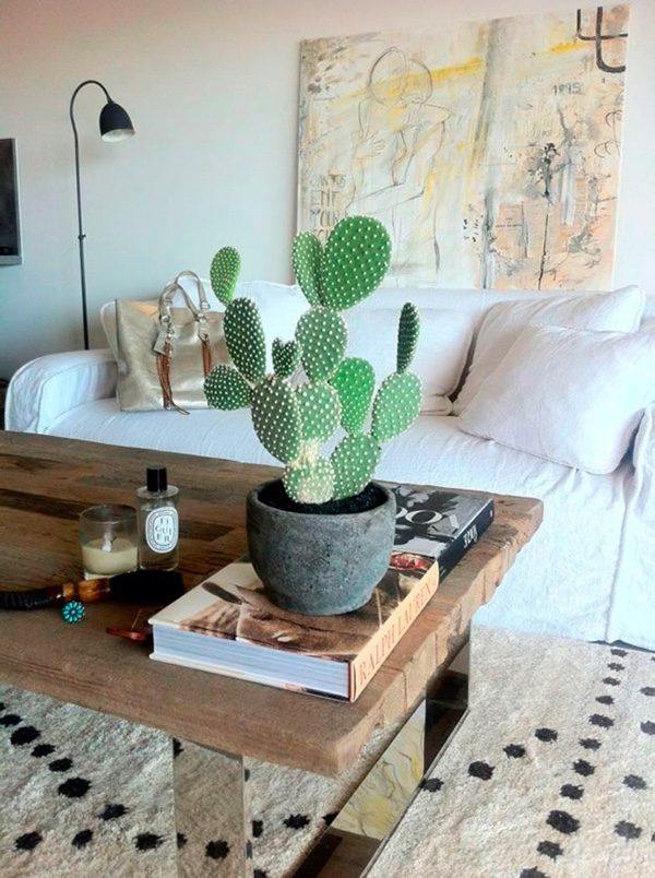 indoor plant cactus idea indoor apartment