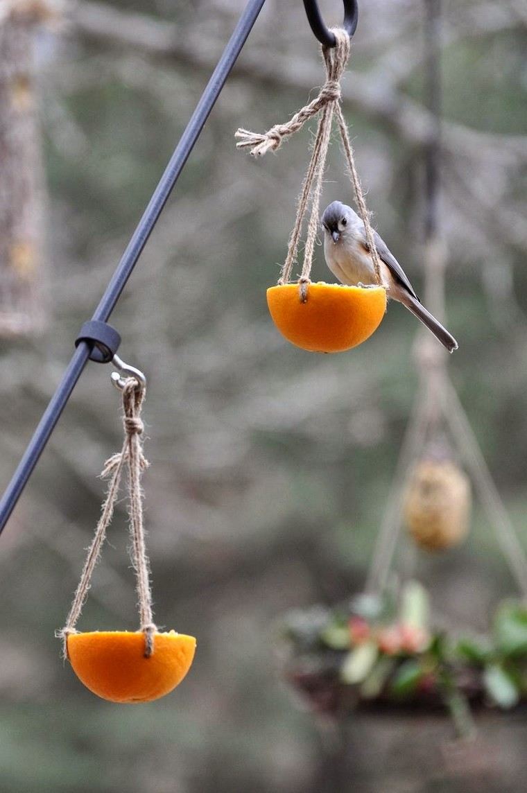 orange bird feeder, make-it-yourself