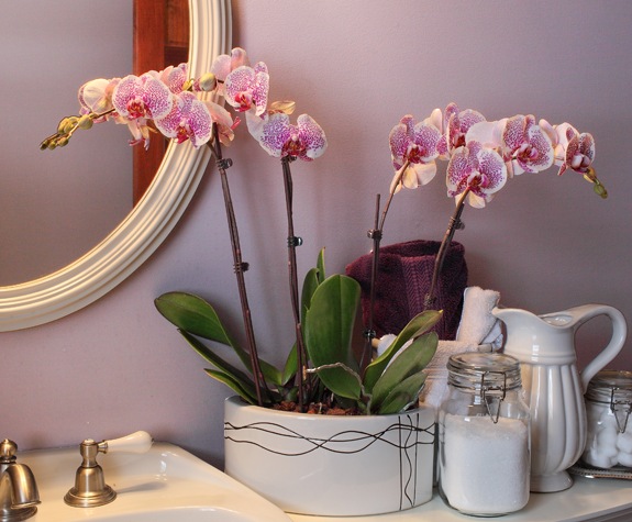 white orchidee dots pink bathroom