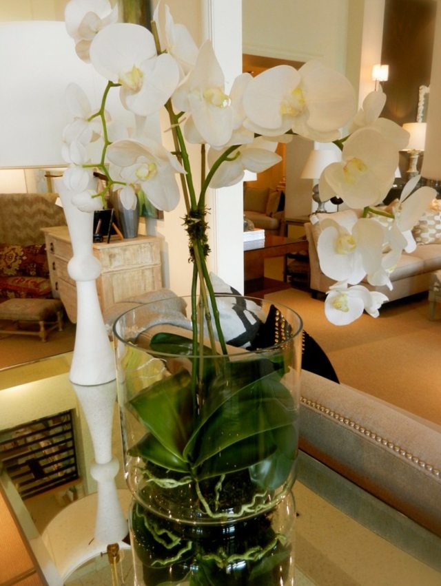 white orchidee vase glass living room