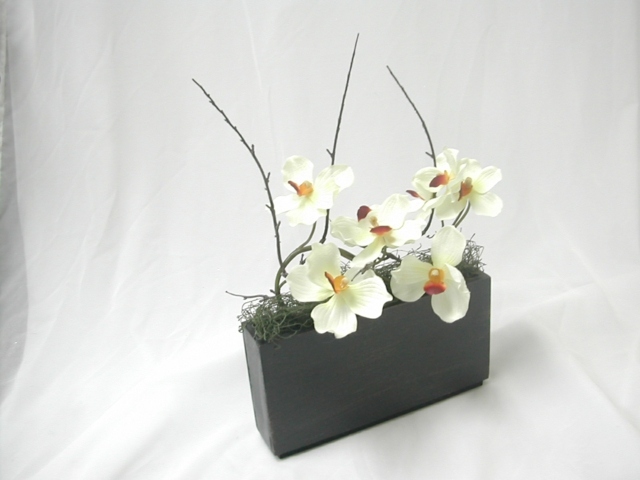white orchid decoration idea plant