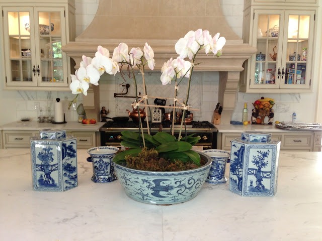 orchidee porcelain china