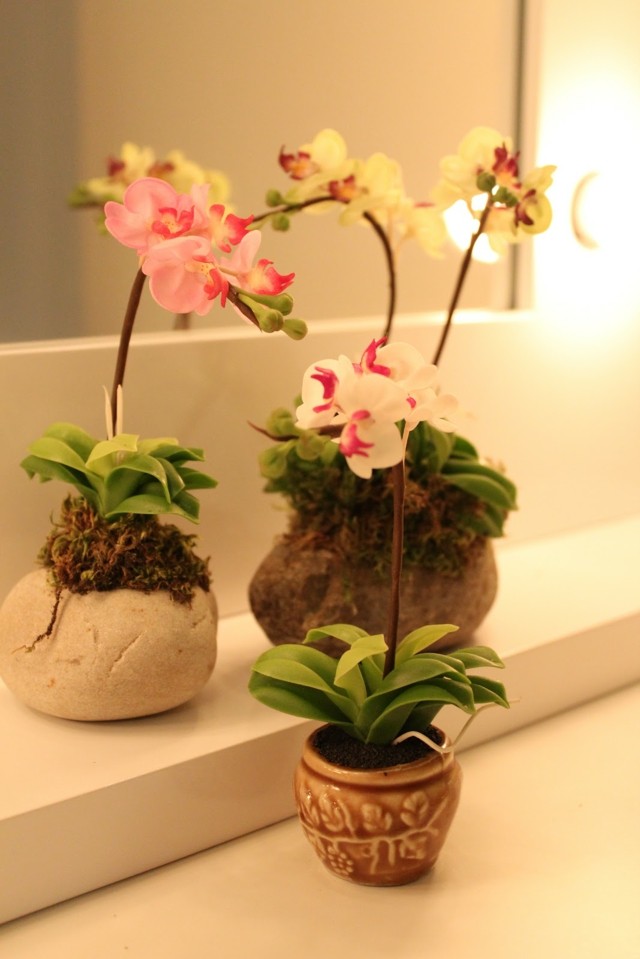 orchidee interesting flower pots