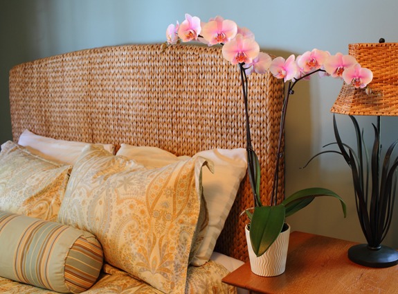 rose orchidee bedroom sea