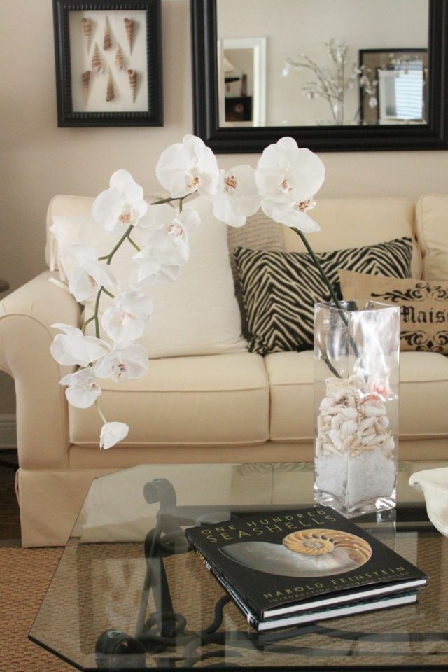 orchidee vase glass shells dazzling decoration