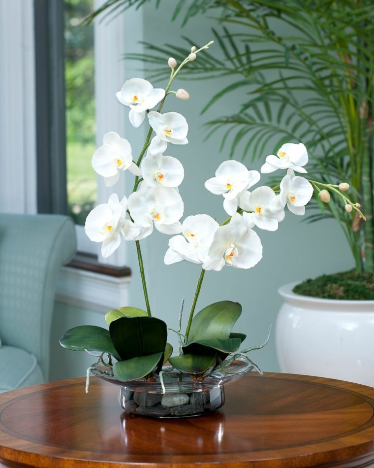 orchids ideas decoration floral art