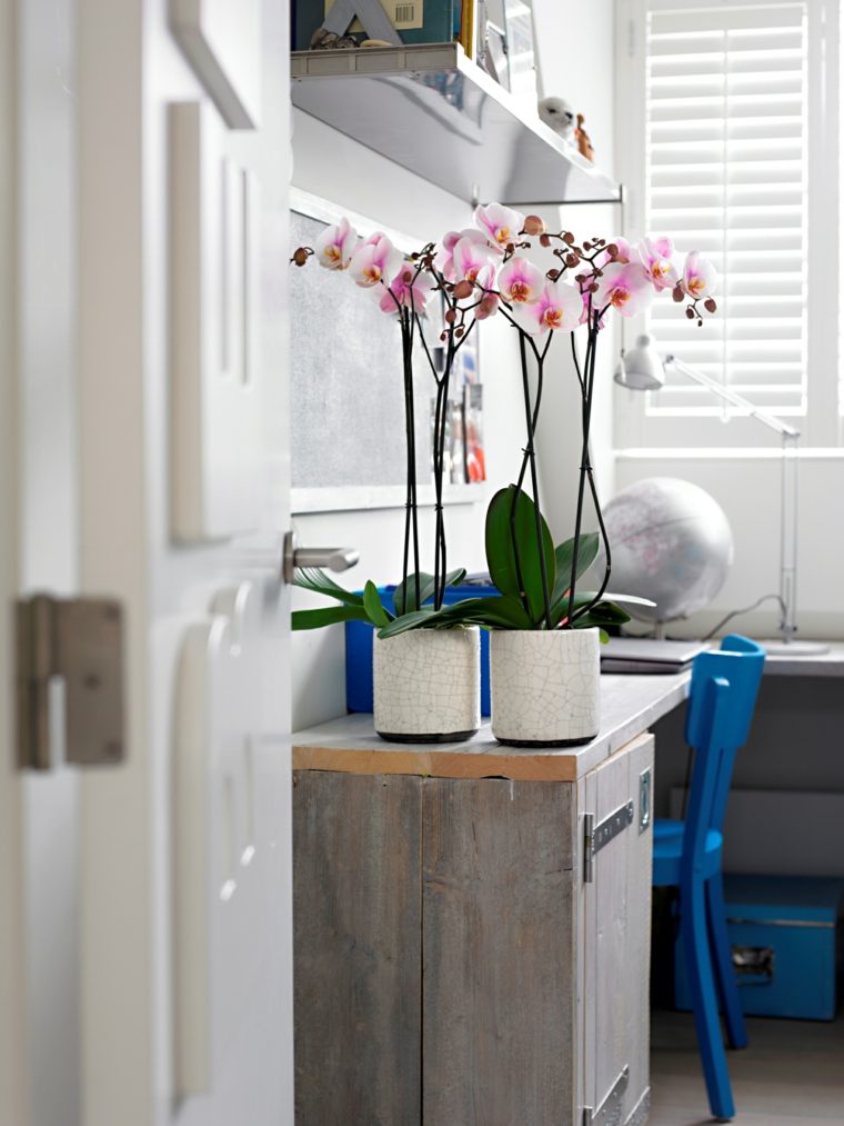 Orchidee objekt design dekoracijo soba otroci