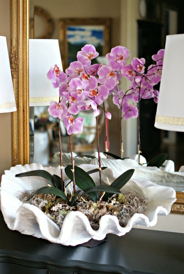 orchids planted large coffin