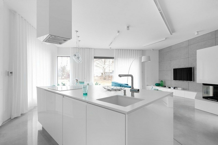 Central Island Kitchen Modern Trendplanering Idé Vit Gardiner