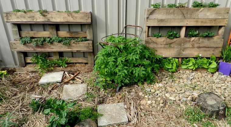 pallet-deco-gardening-ideas-wood plants diy-outside