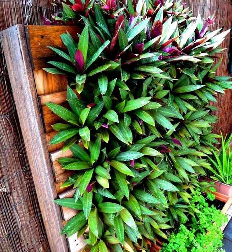 pallet recup-berkebun-DIY-idea