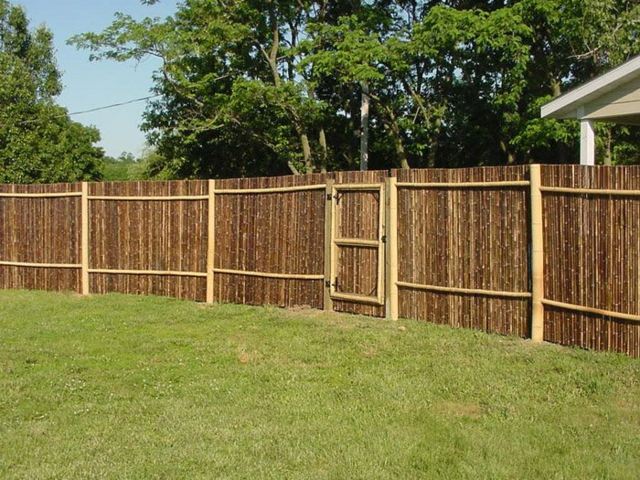 bamboo garden palisade