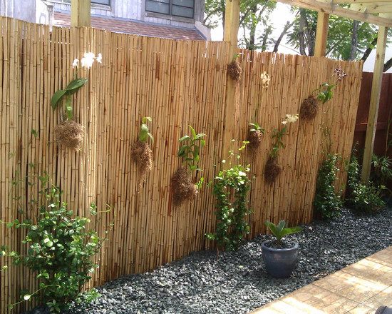 garden bamboo palisade