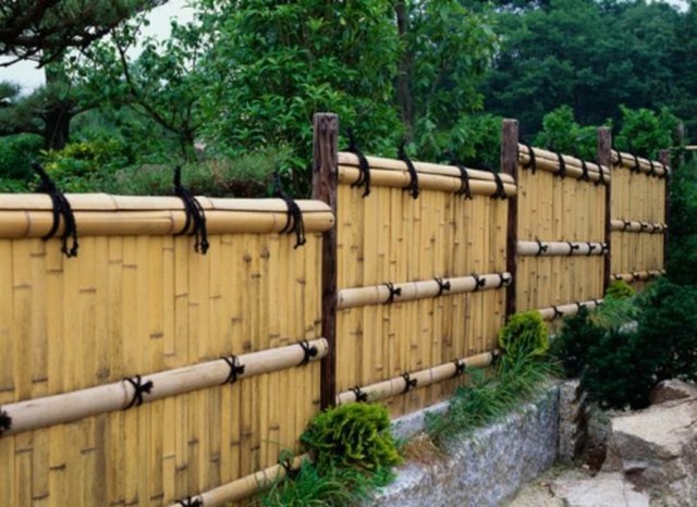 palisade have bambus væg sten