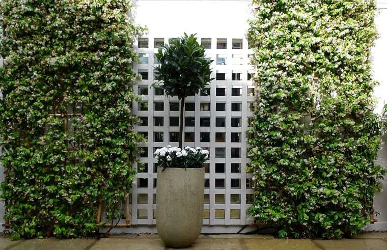 palisade lattice garden outdoor plants