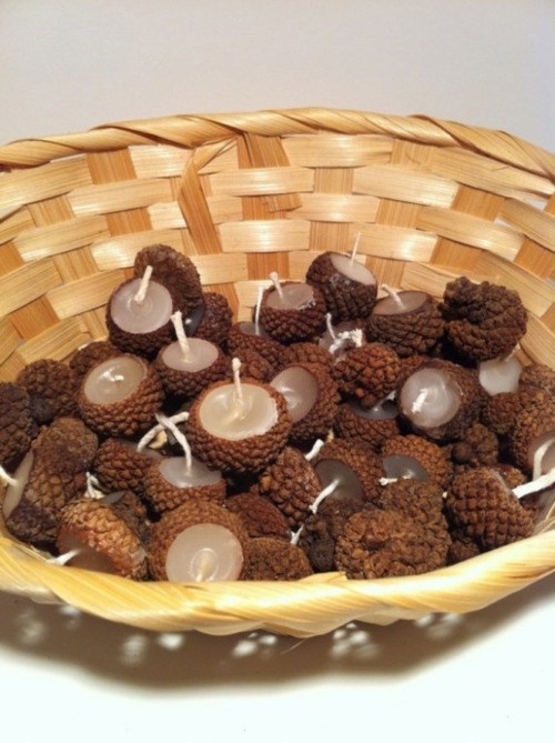 basket bougoirs acorns