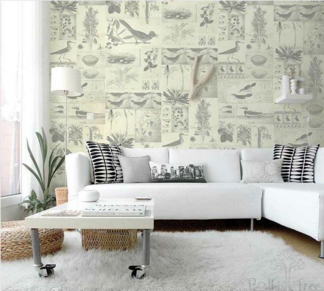 wallpaper bird-room-modern plants