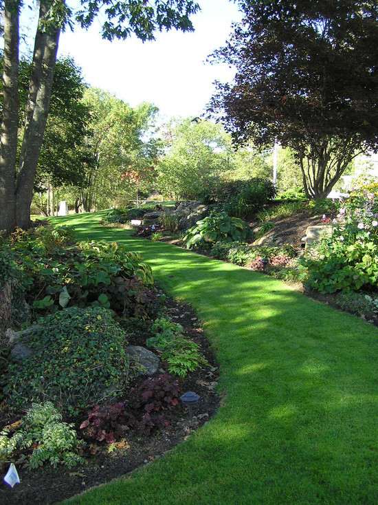 lawn garden landscape